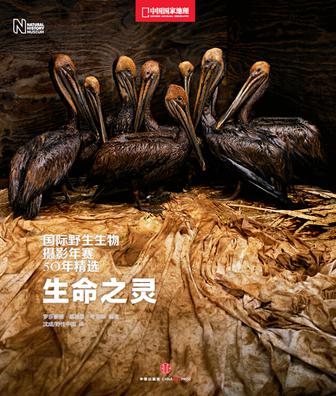 生命之靈